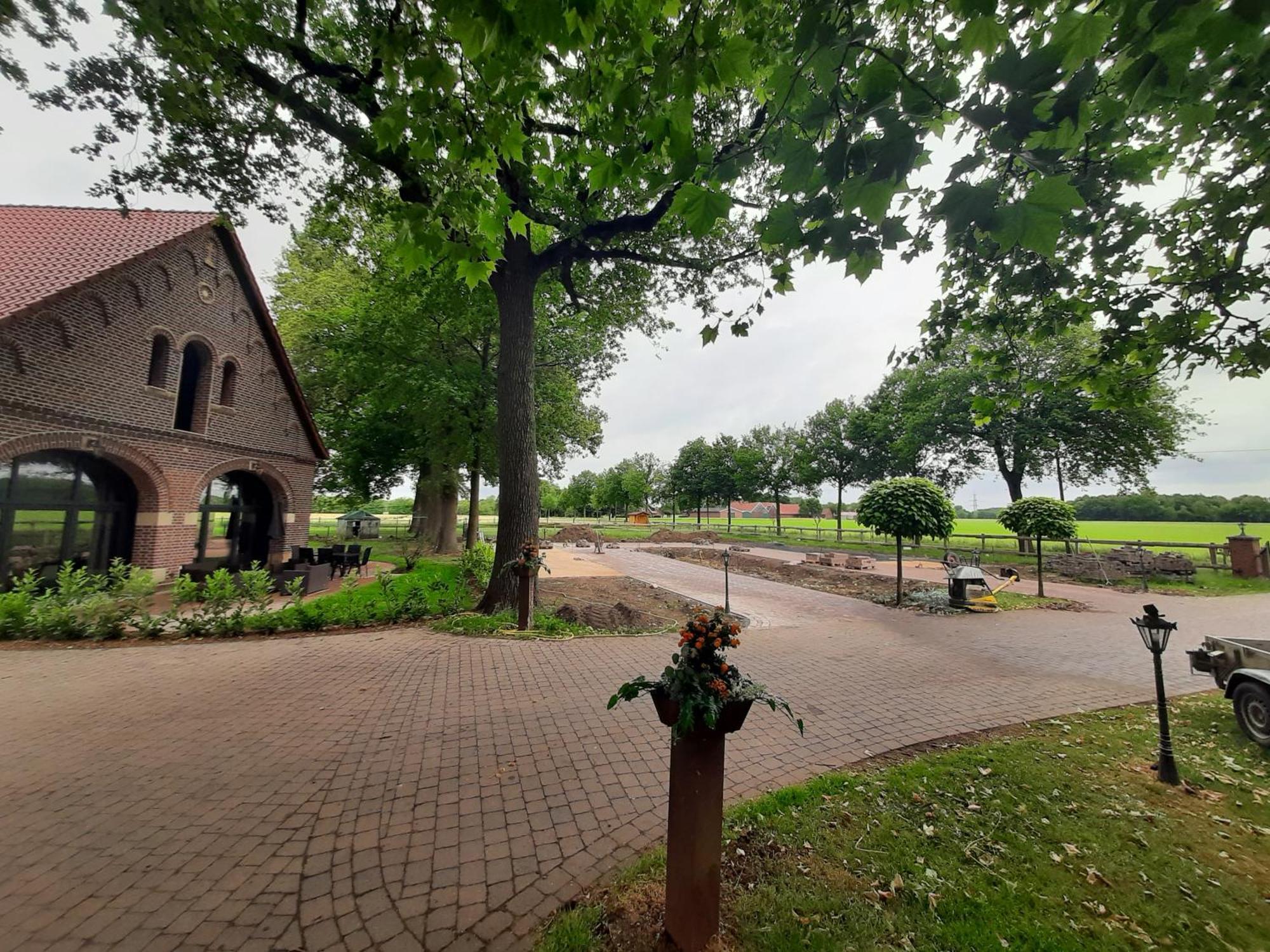 Ferienwohnungen Und Zimmer Hof Holtmann Munster  Exteriör bild